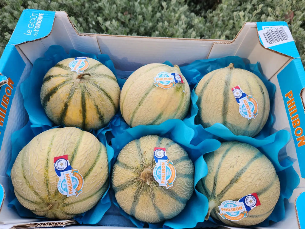 Philibon French Melon Freshly Picked