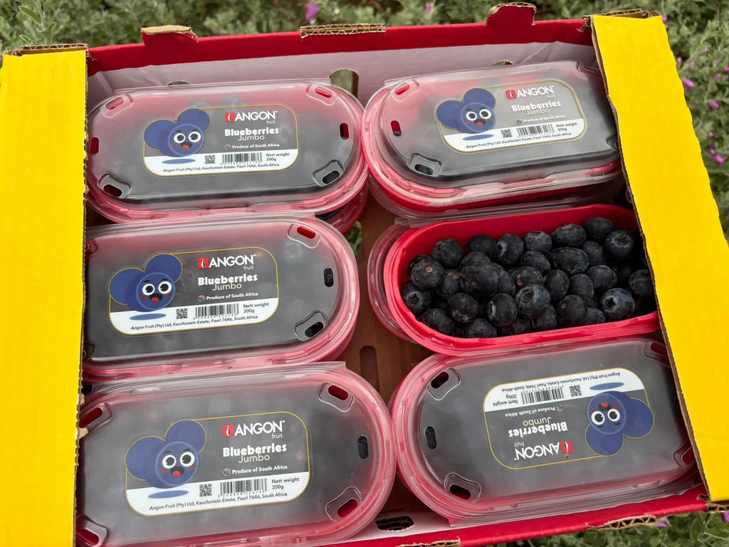 Angon Jumbo Blueberries 125gx2 Freshly Picked