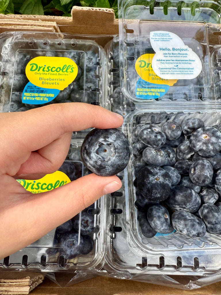 Driscoll's Blueberries 125g x 2 Freshly Picked