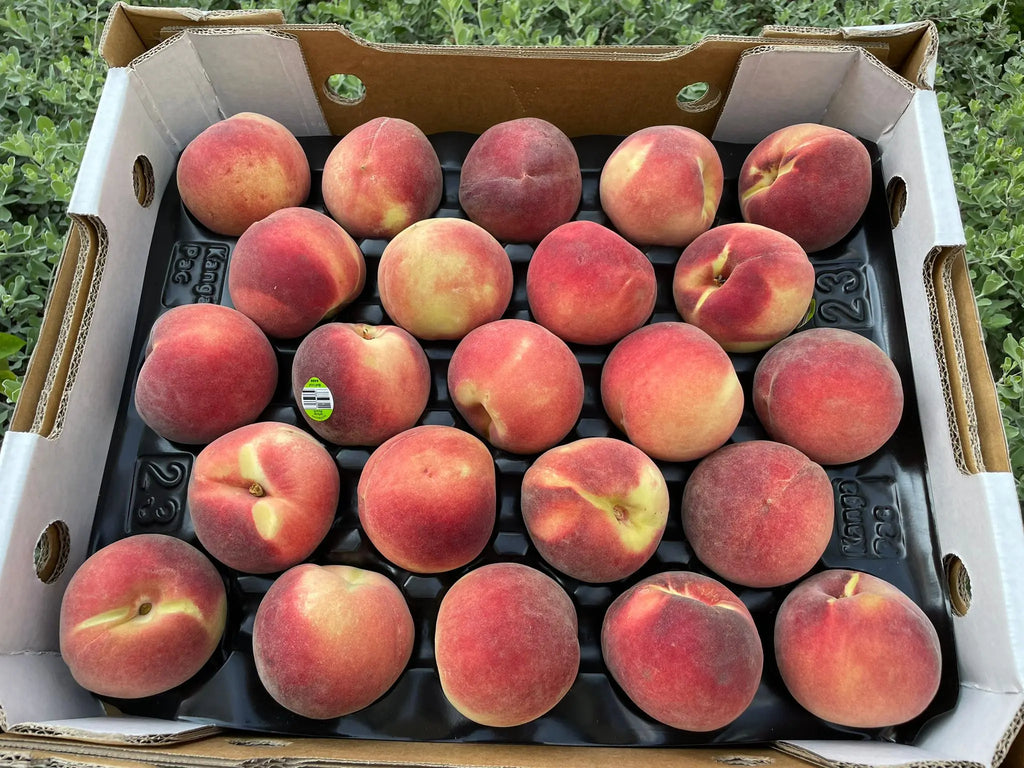 Snow King White Peach 4s Freshly Picked