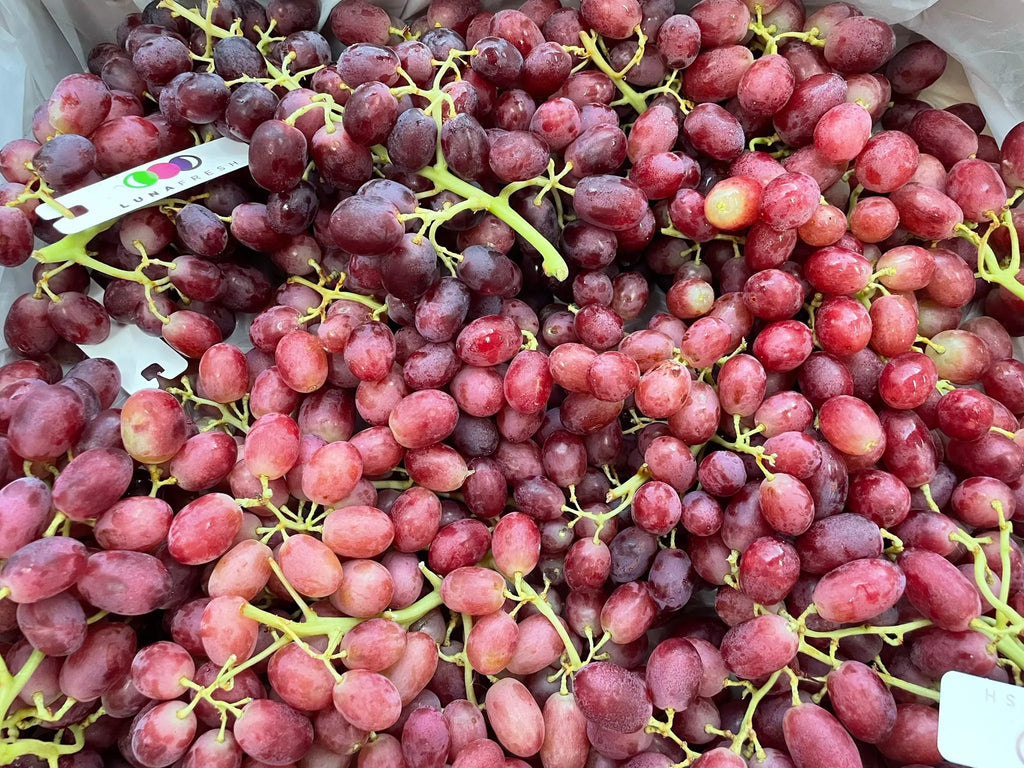 White Seedless Grapes, Peru Freshly Picked