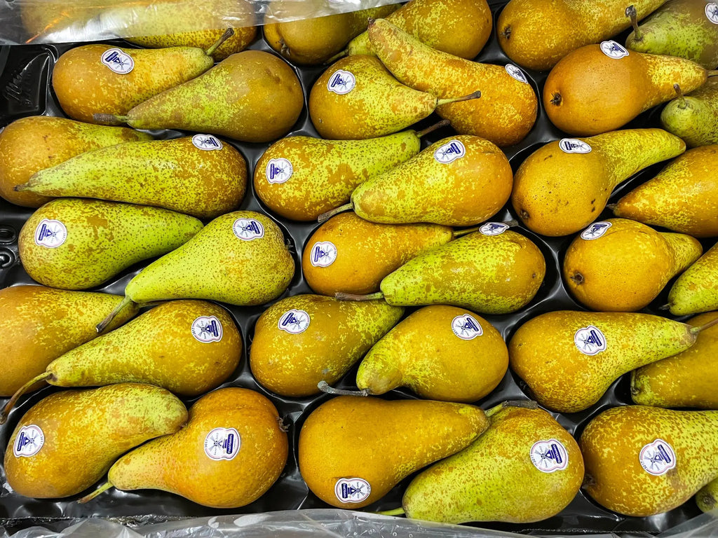 Conference Pear Freshly Picked