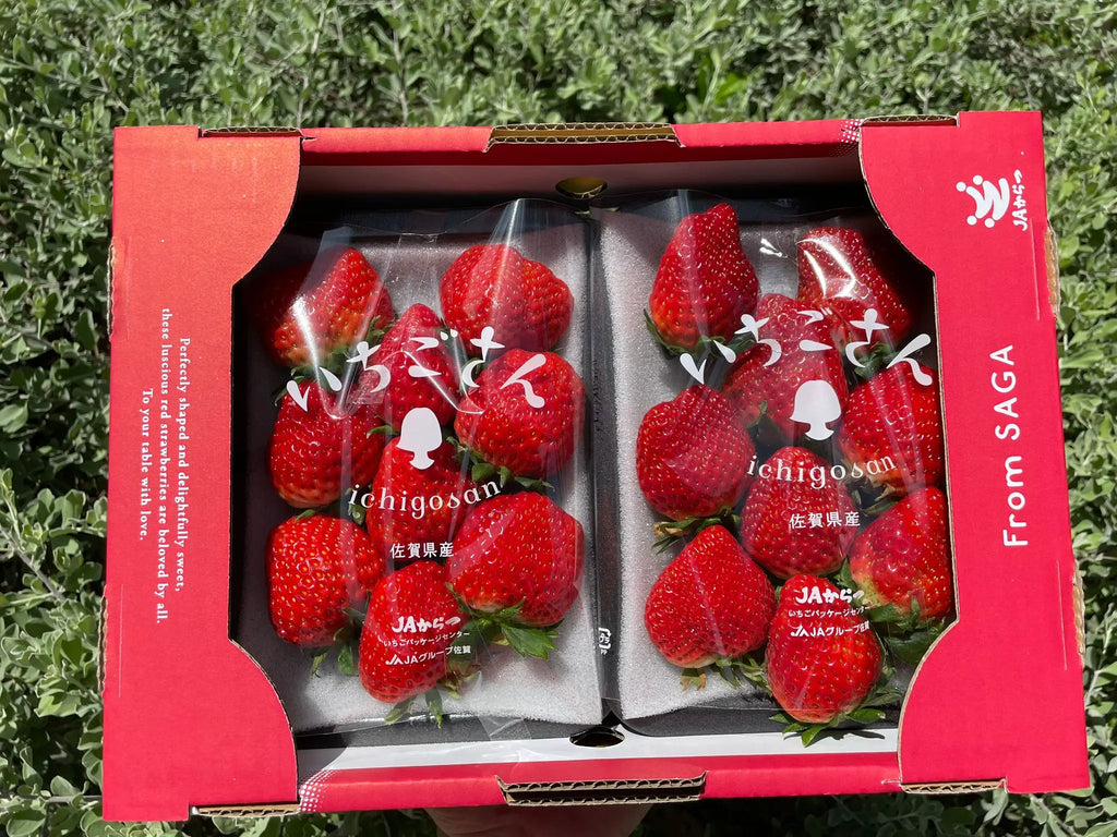 Kumamoto Strawberries 250g, Japan Freshly Picked