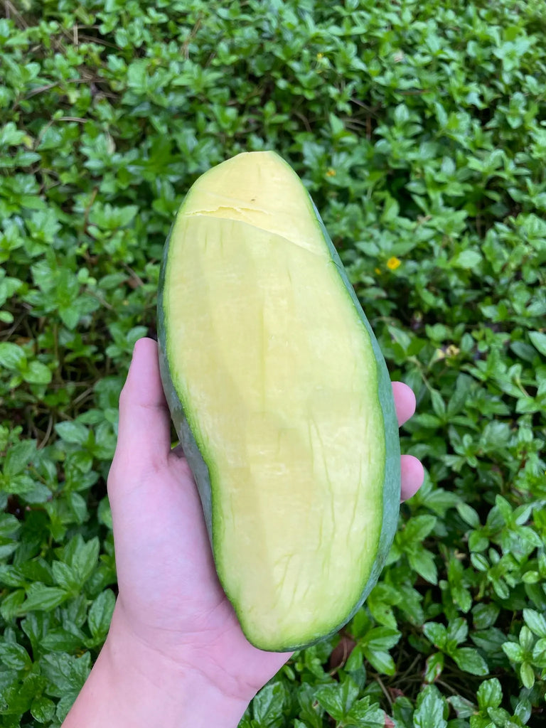 Mango King Freshly Picked