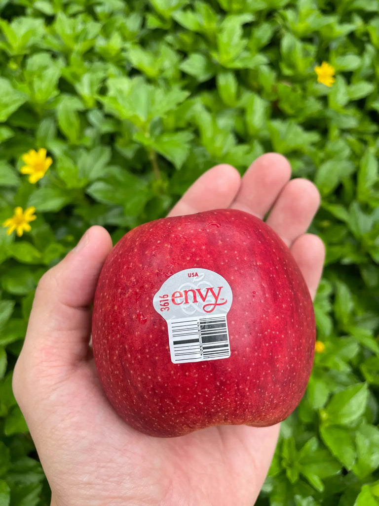 Envy Apple 4s, USA Freshly Picked