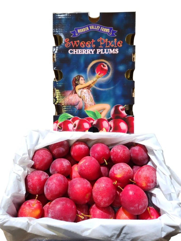 Sweet Pixle Cherry Plum Freshly Picked